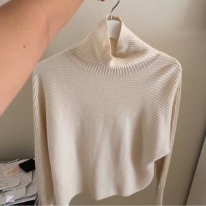 Aritzia Babaton Turtleneck Sweater